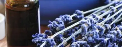 Immagine 2 azienda FARMACIA EMILIA Shopping e acquisti in Buccinasco MI