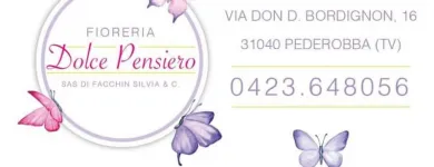 Immagine 4 azienda FIORERIA DOLCE PENSIERO Shopping e acquisti in Pederobba TV