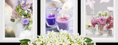 Immagine 1 azienda FIORI D'ARANCIO Shopping e acquisti in Bari