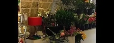 Immagine 4 azienda FIORI D'ARANCIO Shopping e acquisti in Bari