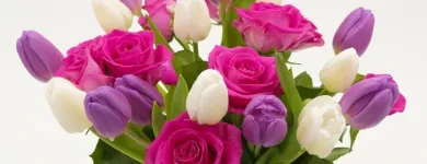 Immagine 4 azienda FIORI E FIORI DI STEFANIA MEZZELANI Shopping e acquisti in Filottrano AN