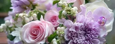 Immagine 2 azienda FIORISTA BERTANI DAVIDE LA BOTTEGA DEL FIORE Vivaio in Lonate Pozzolo VA