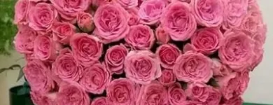 Immagine 1 azienda FIORISTA IL GIARDINO DI LORI Shopping e acquisti in Bizzozero VA