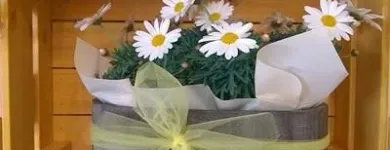 Immagine 3 azienda FIORISTA IL GIARDINO DI LORI Shopping e acquisti in Bizzozero VA