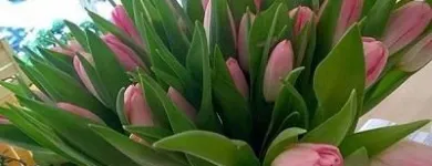 Immagine 5 azienda FIORISTA IL GIARDINO DI LORI Shopping e acquisti in Bizzozero VA