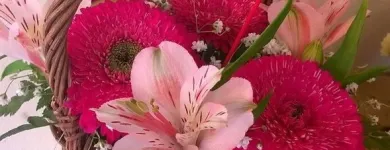 Immagine 6 azienda FIORISTA IL GIARDINO DI LORI Shopping e acquisti in Bizzozero VA