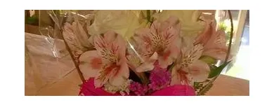 Immagine 7 azienda FIORISTA IL GIARDINO DI LORI Shopping e acquisti in Bizzozero VA