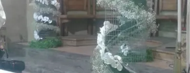 Immagine 4 azienda FLOWERS Vivaio in Palermo