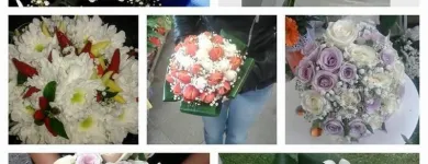 Immagine 5 azienda FLOWERS Vivaio in Palermo