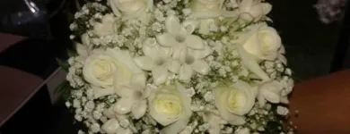 Immagine 6 azienda FLOWERS Vivaio in Palermo