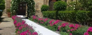 Immagine 7 azienda FLOWERS Vivaio in Palermo