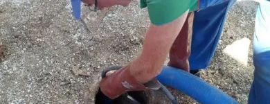 Immagine 6 azienda FRANCHETTO Servizi professionali in Silea TV