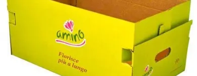 Immagine 6 azienda FRESCHI S.R.L. Shopping e acquisti in Cison Di Valmarino TV
