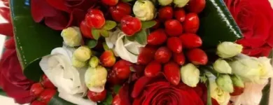 Immagine 4 azienda GARDEN PANZERI Vivaio in Ferno VA