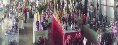 Immagine 1 azienda GARDEN SHOP PASINI Vivaio in Montichiari BS