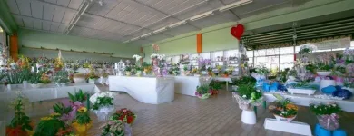 Immagine 2 azienda GARDEN SHOP PASINI Vivaio in Montichiari BS