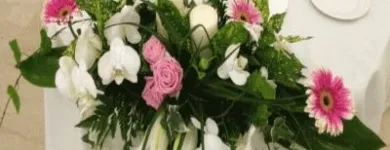 Immagine 4 azienda GARDEN SHOP PASINI Vivaio in Montichiari BS