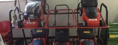 Immagine 1 azienda GAROZZO PIETRO E FIGLI AGRICOLTURA Vivaio in Catania