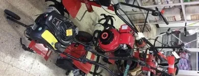 Immagine 4 azienda GAROZZO PIETRO E FIGLI AGRICOLTURA Vivaio in Catania