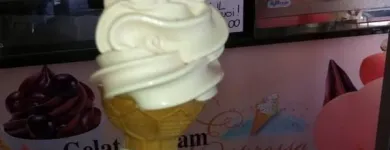 Immagine 3 azienda GELATERIA RE DEL GELATO Shopping e acquisti in Vittorio Veneto TV