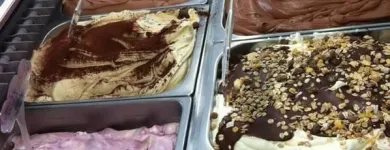 Immagine 8 azienda GELATERIA RE DEL GELATO Shopping e acquisti in Vittorio Veneto TV