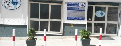 Immagine 1 azienda GF VET AMBULATORIO VETERINARIO E TOELETTATURA Veterinario in Napoli