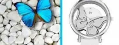 Immagine 5 azienda GIOIELLERIA RIFLESSI D'ARGENTO Shopping e acquisti in Latina