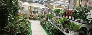 Immagine 1 azienda GIOVANNI PUGLISI Vivaio in Giarre CT
