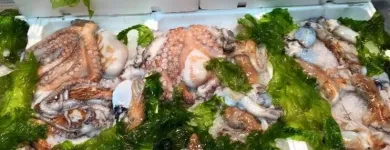 Immagine 8 azienda GRANGUSTO Shopping e acquisti in Napoli