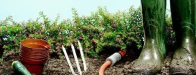 Immagine 2 azienda GRUPPO MTR ITALIA Servizi professionali in Napoli