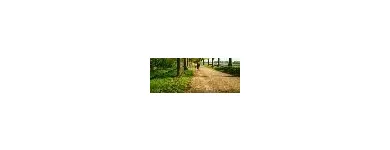 Immagine 15 azienda GUIDE TURISTICHE FERRARA Viaggi e turismo in Ferrara