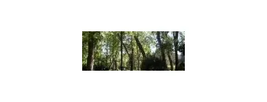 Immagine 22 azienda GUIDE TURISTICHE FERRARA Viaggi e turismo in Ferrara