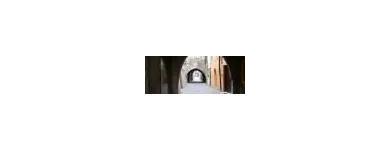 Immagine 26 azienda GUIDE TURISTICHE FERRARA Viaggi e turismo in Ferrara
