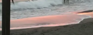 Immagine 4 azienda HANG LOOSE Sport e tempo libero in Fiumicino RM