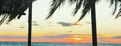 Immagine 5 azienda HANG LOOSE Sport e tempo libero in Fiumicino RM