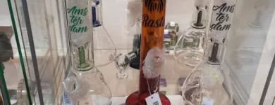 Immagine 7 azienda HEMPATHY GROW SHOP Vivaio in Latina