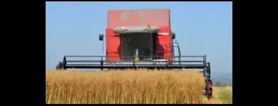 Immagine 3 azienda HMF S.R.L. Shopping e acquisti in Appiano Sulla Strada Del Vino BZ