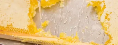 Immagine 7 azienda HOLIDAY INN BOLOGNA - FIERA Viaggi e turismo in Bologna