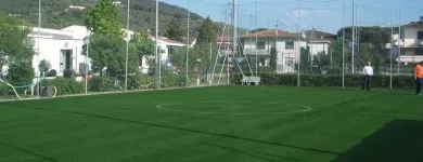 Immagine 1 azienda HTS Vivaio in Rigoli PI