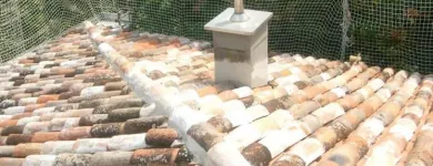 Immagine 1 azienda IDEALTETTI Servizi professionali in Savignano Sul Rubicone FC