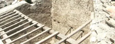 Immagine 4 azienda IDEALTETTI Servizi professionali in Savignano Sul Rubicone FC