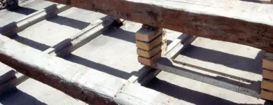 Immagine 5 azienda IDEALTETTI Servizi professionali in Savignano Sul Rubicone FC