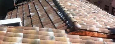 Immagine 6 azienda IDEALTETTI Servizi professionali in Savignano Sul Rubicone FC