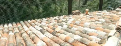 Immagine 7 azienda IDEALTETTI Servizi professionali in Savignano Sul Rubicone FC