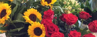 Immagine 2 azienda IDEE E PENSIERI Shopping e acquisti in Rocca San Giovanni CH