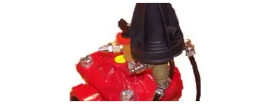 Immagine 3 azienda IDROBIT Vivaio in Guidonia Montecelio RM