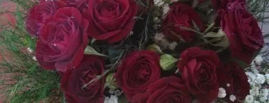 Immagine 2 azienda IL LARGO FIORITO Shopping e acquisti in Marnate VA