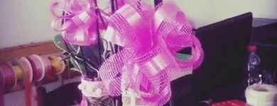 Immagine 3 azienda IL LARGO FIORITO Shopping e acquisti in Marnate VA