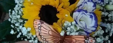 Immagine 7 azienda IL LARGO FIORITO Shopping e acquisti in Marnate VA