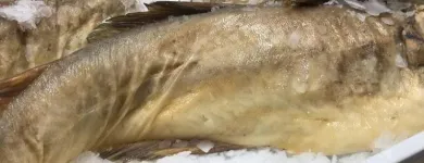 Immagine 8 azienda IL QUINTO SAPORE Sala per banchetti in Treviso